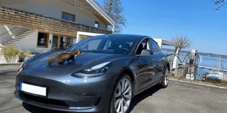 Tesla Model 3 mit Marder