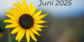 THG-Prämie Juni 2025