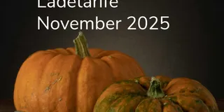 E-Auto Ladetarife im November 2025