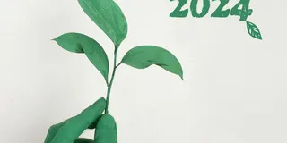THG-Prämien Vergleich November 2024