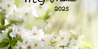 THG-Quote Mai 2025