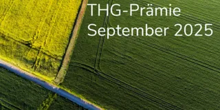 THG-Quote Vergleich September 2025