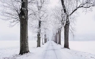 E-Auto Wintertipps