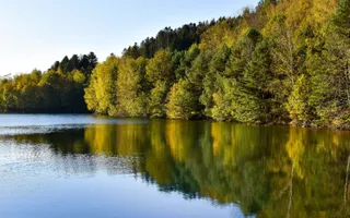 THG-Prämie September 2026: Bis zu 420 € sichern