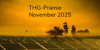 THG-Prämie November 2025